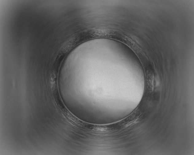 X0000073830507200608240954