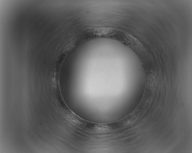 X0000073830510200608240954