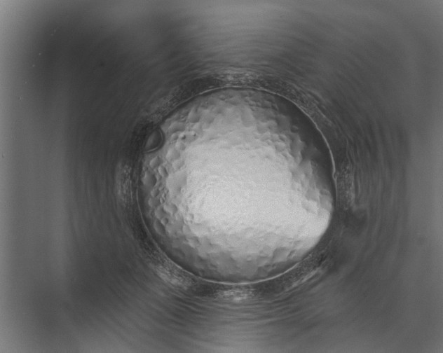 X0000073830511200608240954