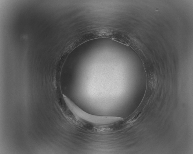 X0000073830512200608240954