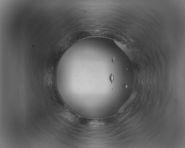 X0000073830515200608240954