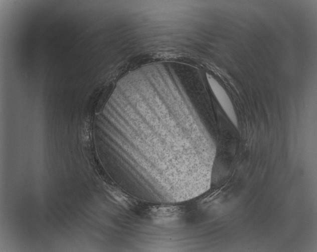 X0000073830517200608240954