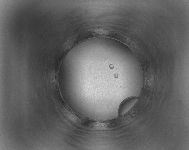 X0000073830518200608240954