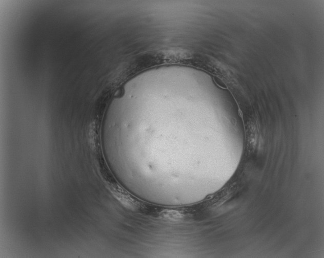 X0000073830519200608240954