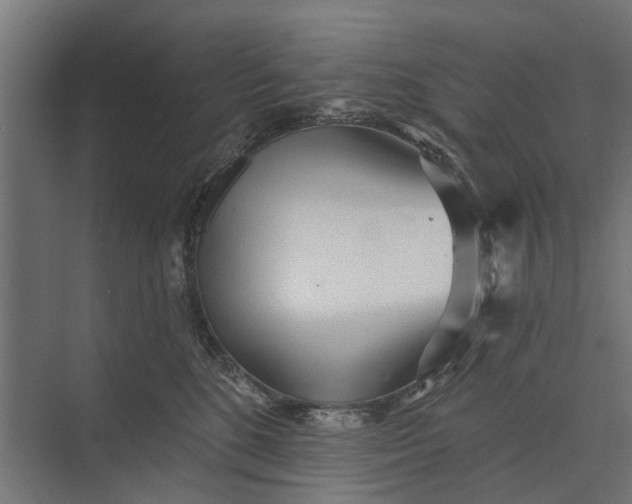 X0000073830520200608240954