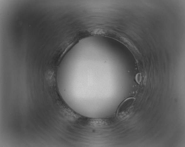 X0000073830521200608240954