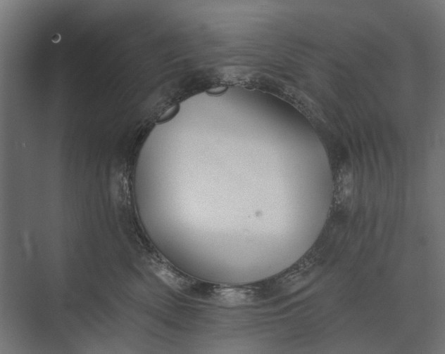 X0000073830522200608240954