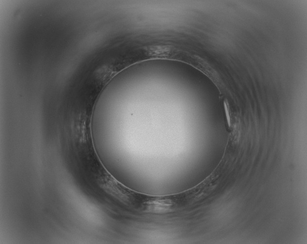 X0000073830525200608240954