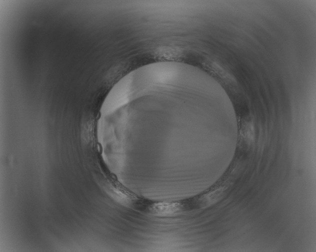 X0000073830526200608240954