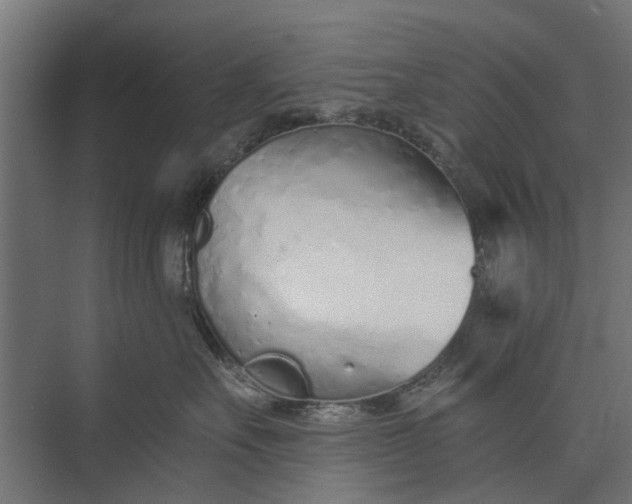 X0000073830527200608240954