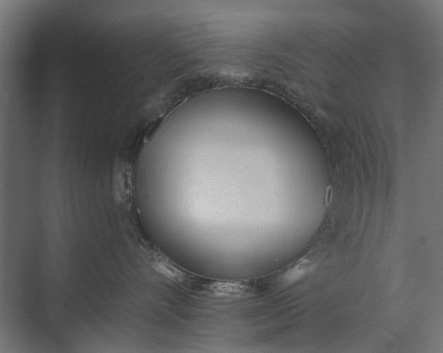 X0000073830528200608240954