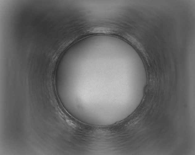 X0000073830529200608240953