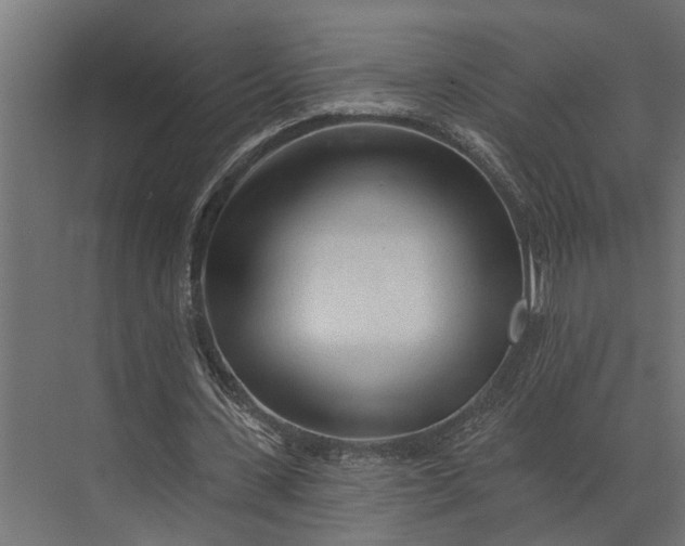 X0000073830531200608240953