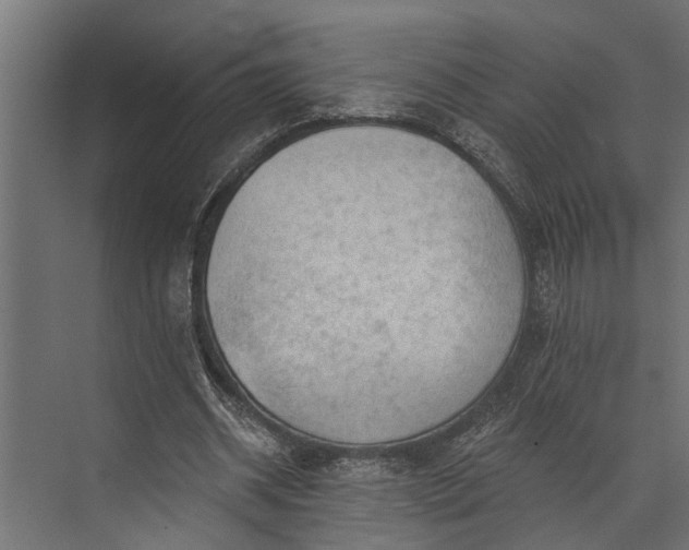 X0000073830534200608240953