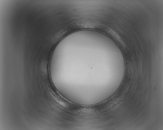 X0000073830537200608240953