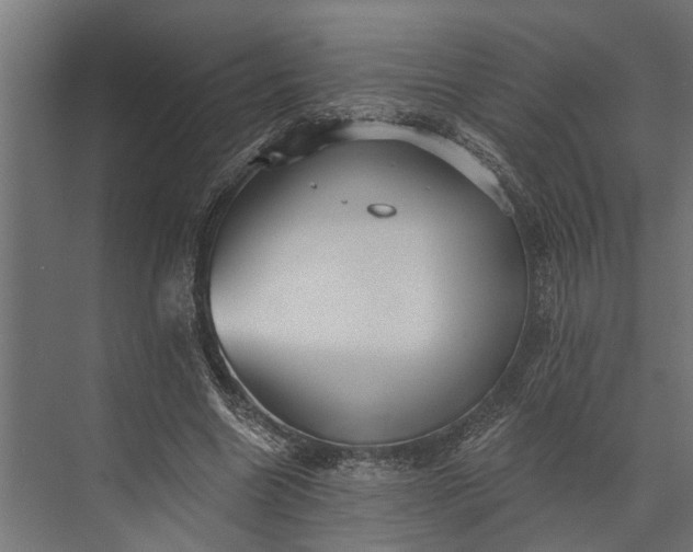 X0000073830538200608240953