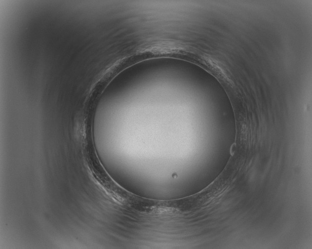 X0000073830539200608240953