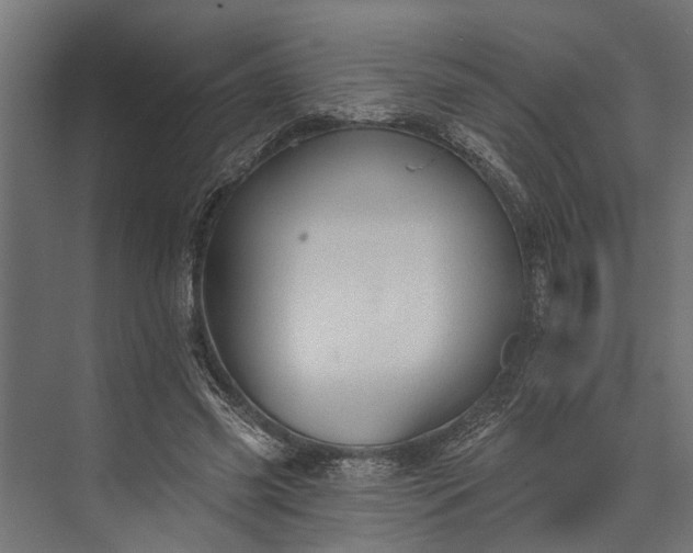 X0000073830541200608240953