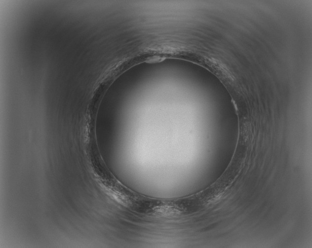 X0000073830544200608240953