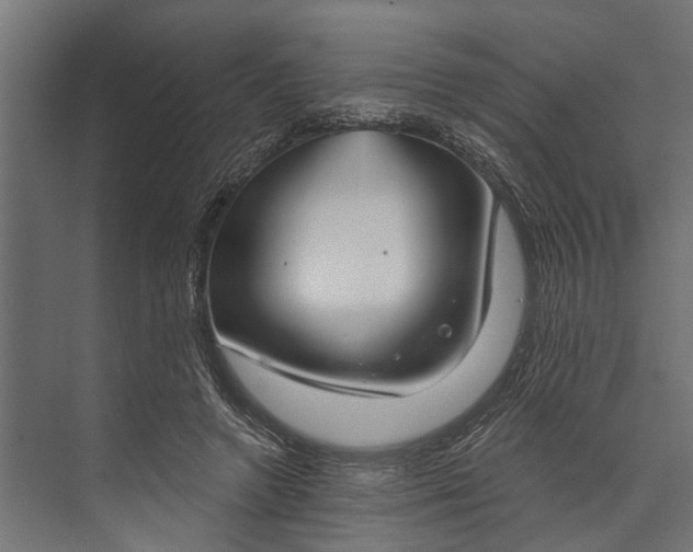 X0000073830546200608240953