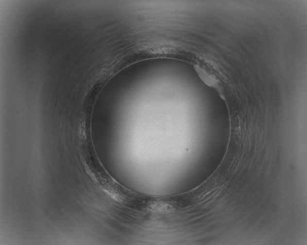 X0000073830547200608240953