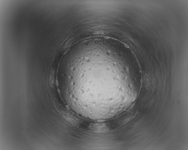 X0000073830554200608240953