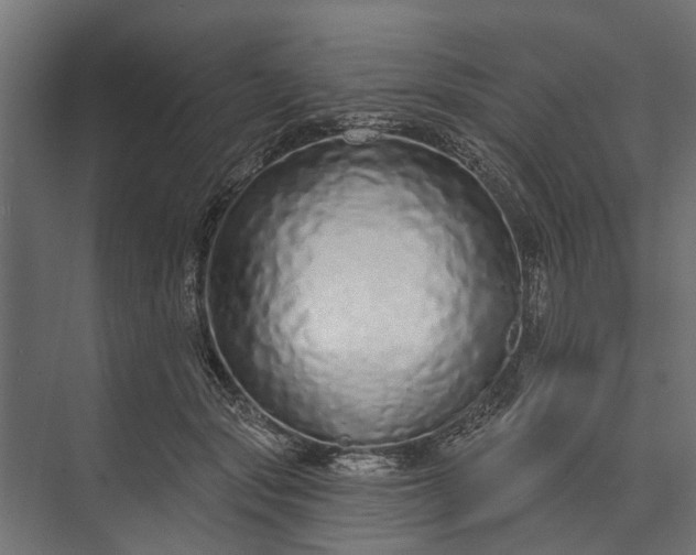 X0000073830557200608240954