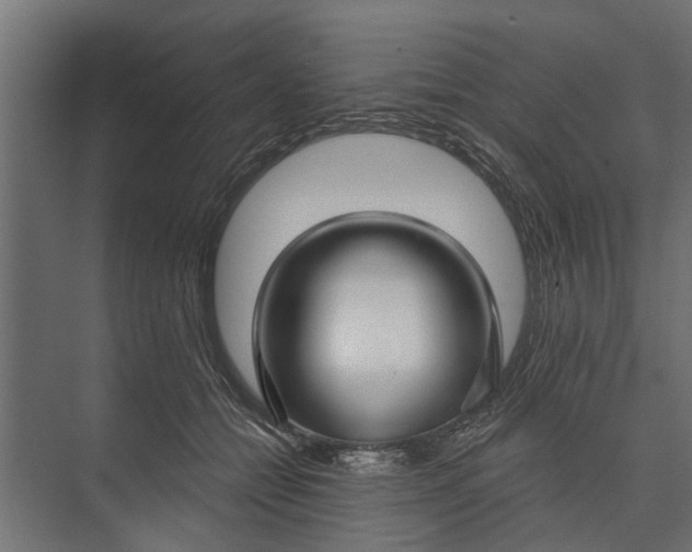 X0000073830558200608240954