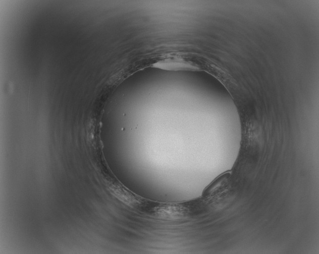 X0000073830567200608240954