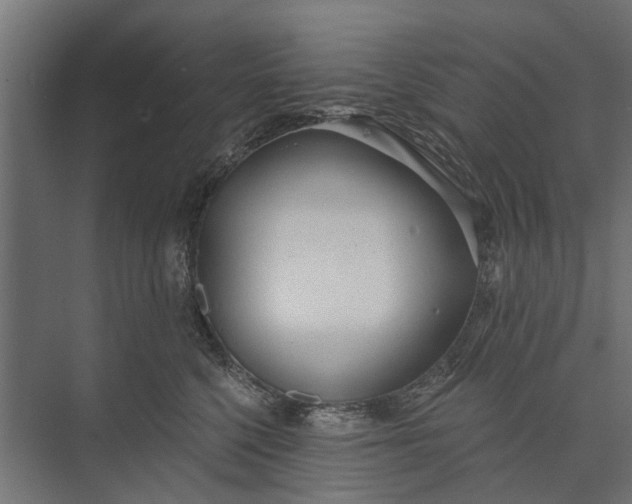 X0000073830568200608240954