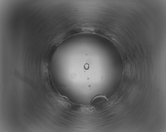 X0000073830571200608240954