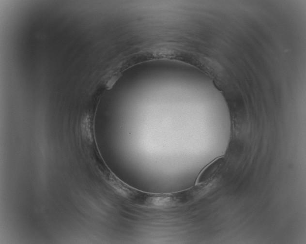 X0000073830575200608240954