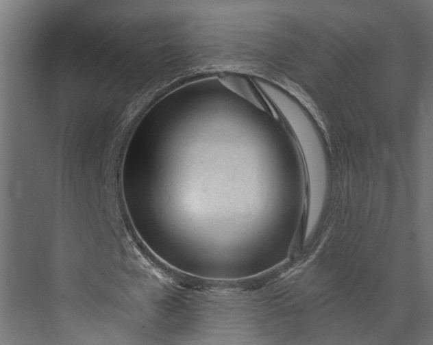 X0000073830577200608240953