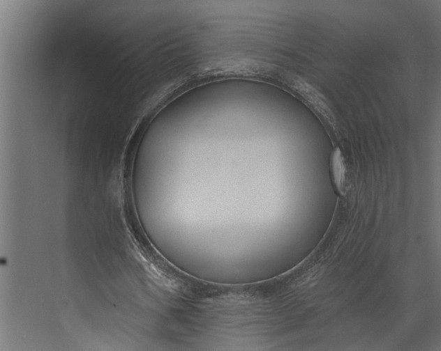 X0000073830578200608240953