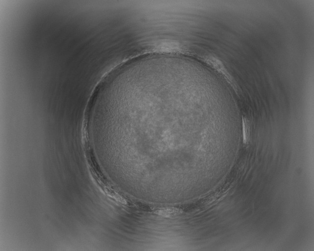 X0000073830579200608240953