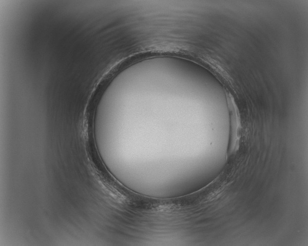 X0000073830584200608240953