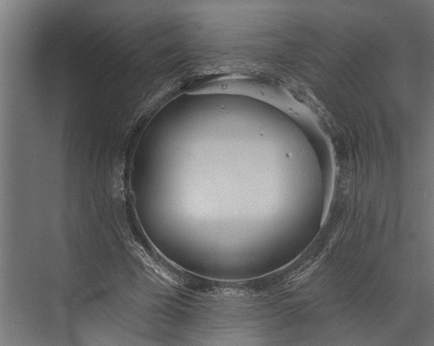 X0000073830585200608240953