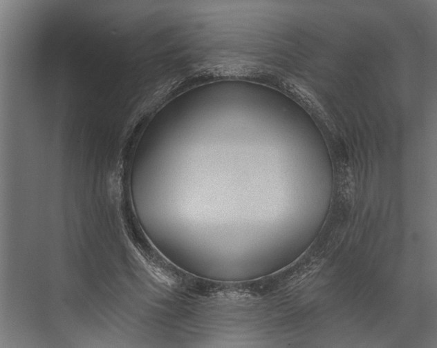 X0000073830586200608240953