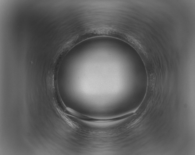 X0000073830589200608240953