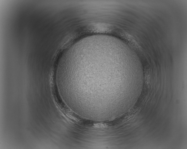 X0000073830591200608240953