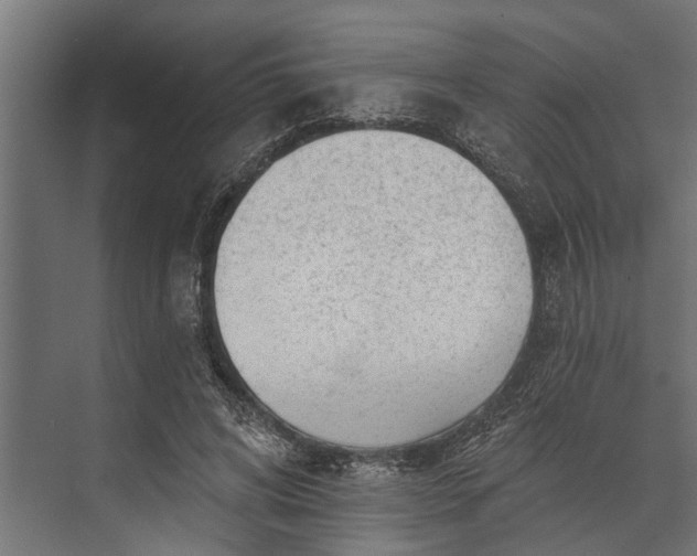 X0000073830592200608240953