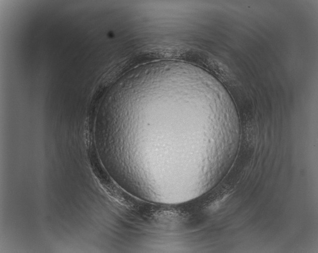 X0000073830594200608240953