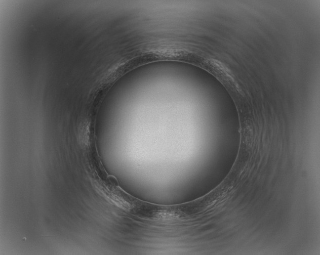 X0000073830596200608240953