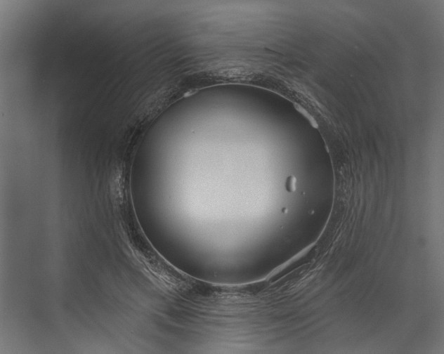 X0000073830597200608240953