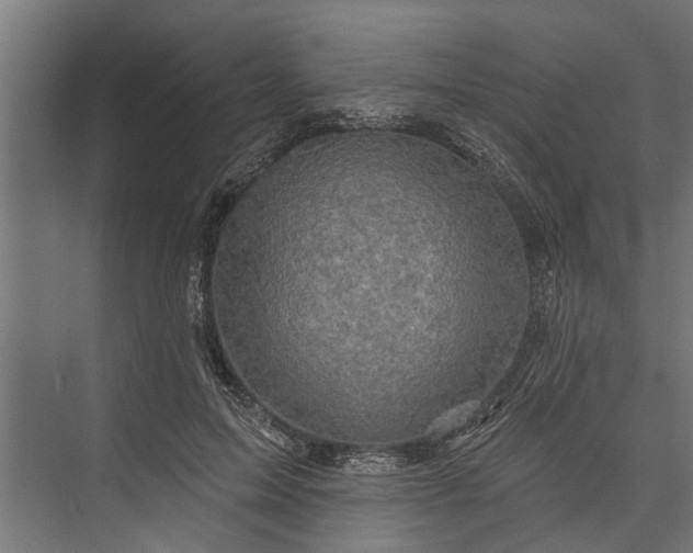 X0000073830599200608240953