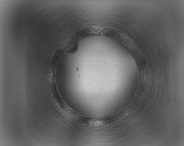 X0000073830602200608240953