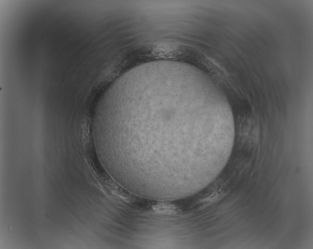 X0000073830603200608240953