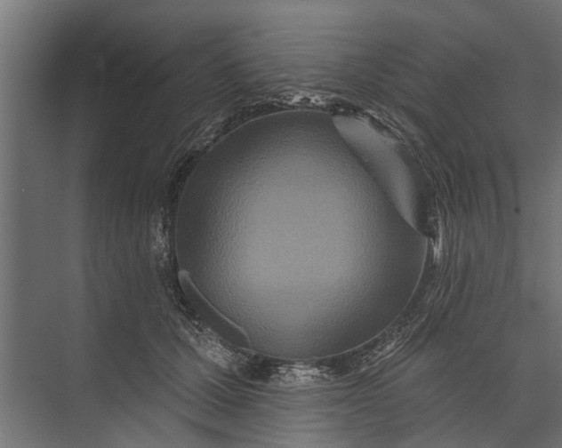 X0000073830607200608240953