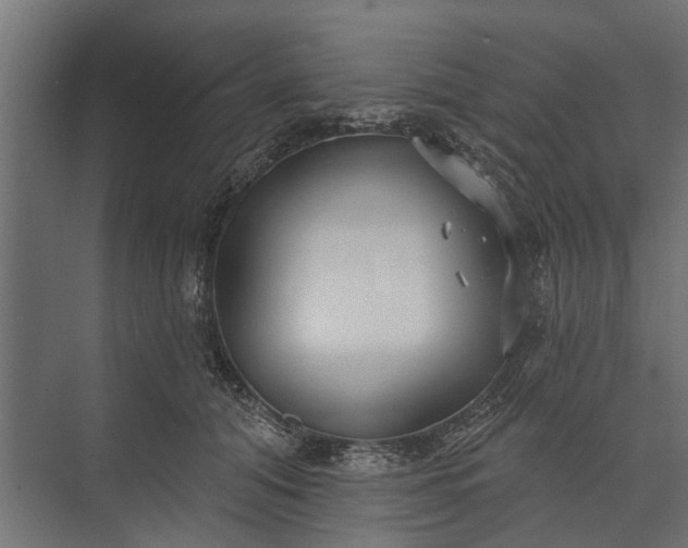 X0000073830608200608240952