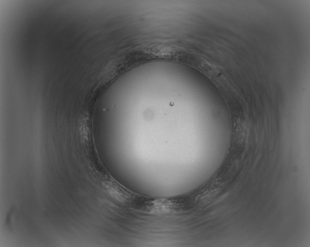 X0000073830612200608240952